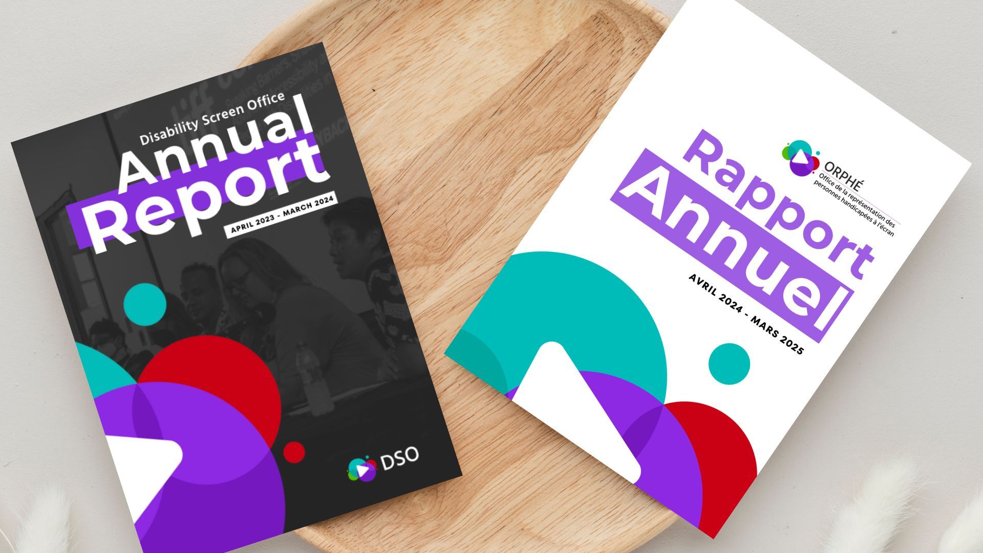 Two DSO annual reports displayed on a wooden surface, one with a dark cover and one with a white cover featuring colorful graphic shapes.