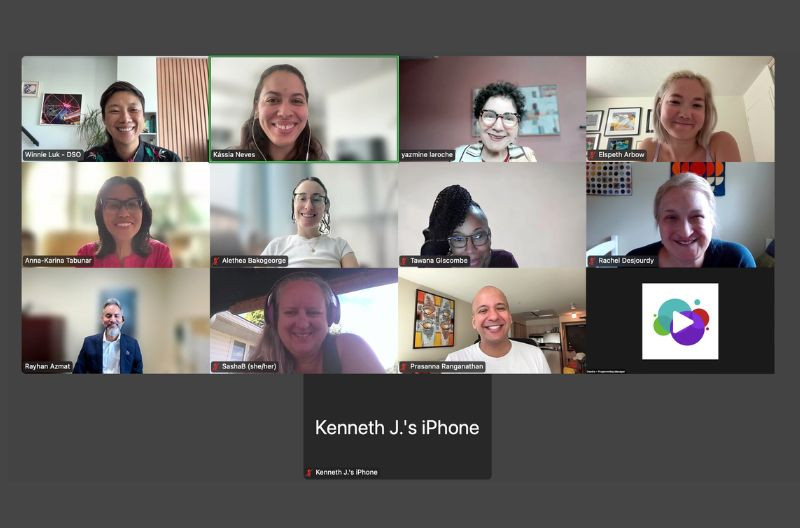 Screenshot of a Zoom meeting showing 13 participants, including DSO board and staff members.